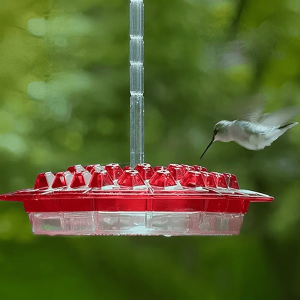 HaulWellGoods - Ant Moat Feeder - Fresh Nectar Longer