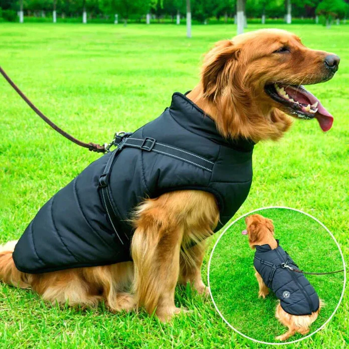 HaulWellGoods - Winter Dog Jacket - Warm Dry Walks