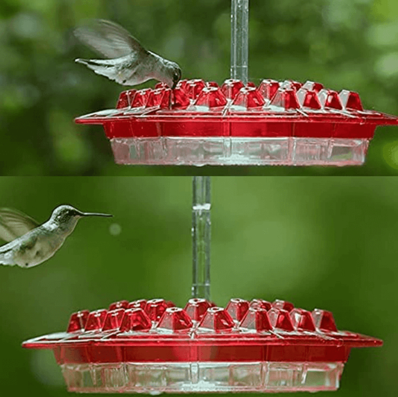 HaulWellGoods - Hummingbird Feeder - Ant-Free Nectar Always