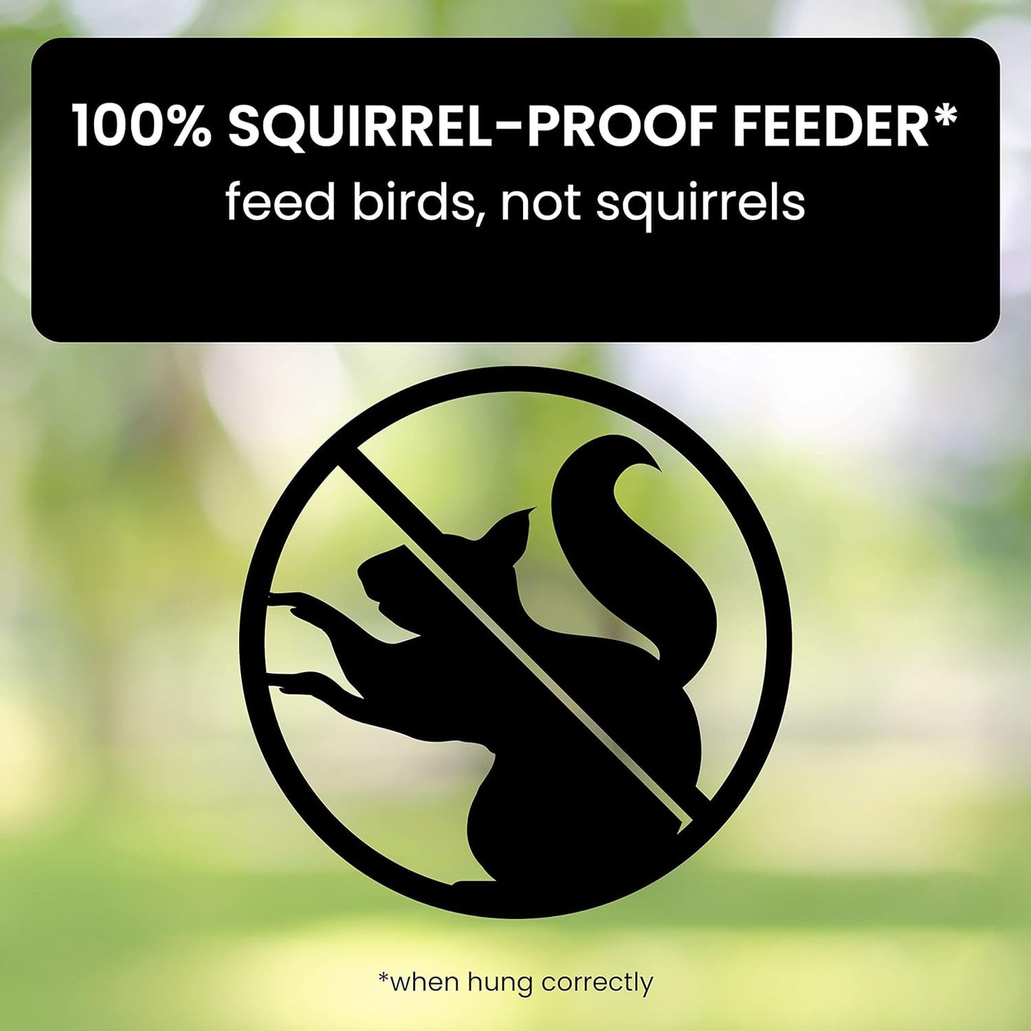HaulWellGoods - Bird Feeder Pro - Squirrels Stay Out