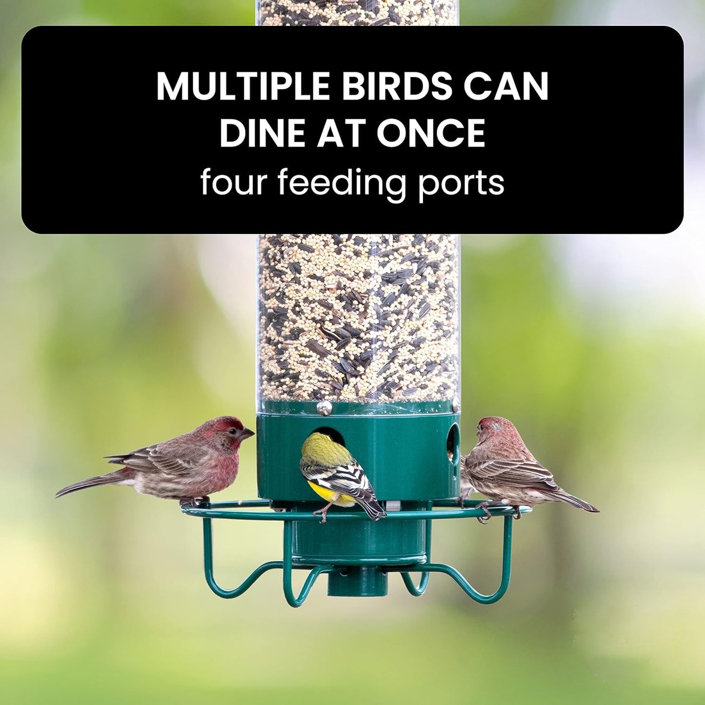 HaulWellGoods - Bird Feeder Pro - Squirrels Stay Out