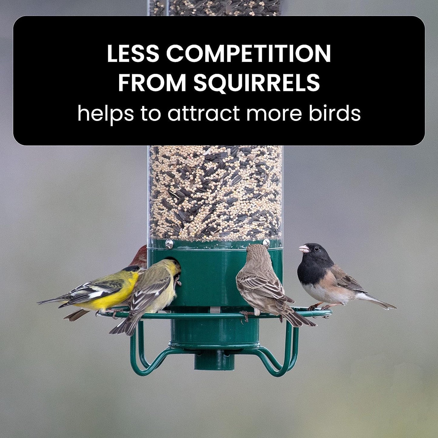 HaulWellGoods - Bird Feeder Pro - Squirrels Stay Out