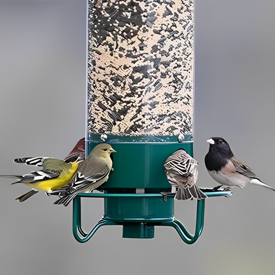 HaulWellGoods - Bird Feeder Pro - Squirrels Stay Out