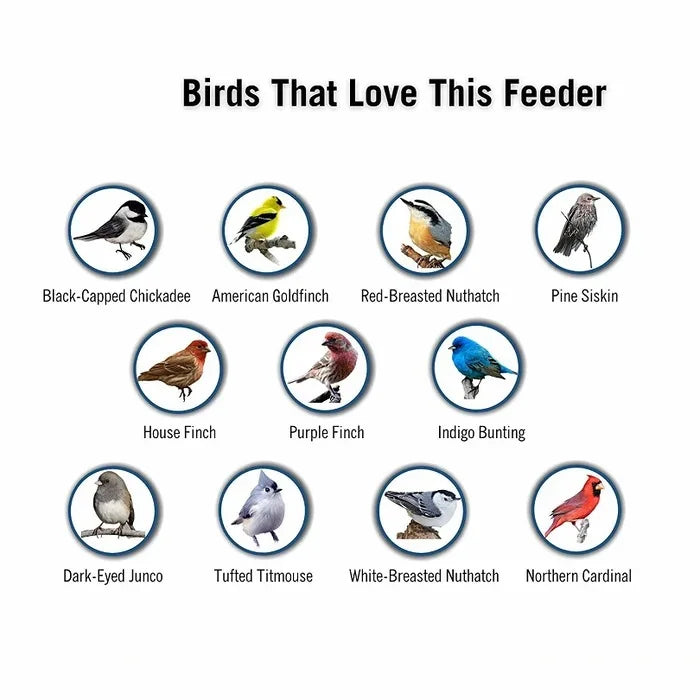 HaulWellGoods - Bird Feeder Pro - Squirrels Stay Out