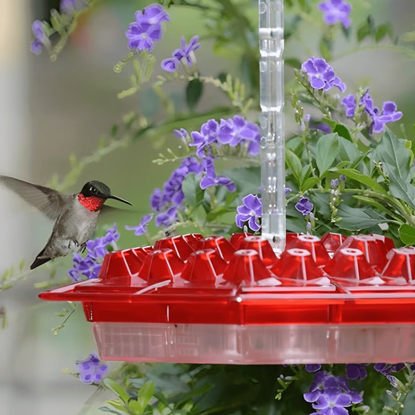 HaulWellGoods - Ant Moat Feeder - Fresh Nectar Longer