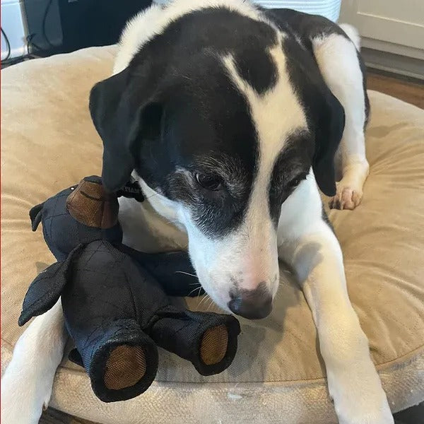 HaulWellGoods - Bear Dog Toy - Built For Heavy Chewers