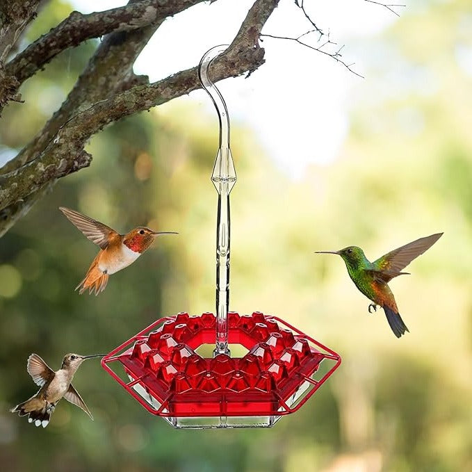 HaulWellGoods - Hummingbird Feeder - Nectar Stays Ant-Free