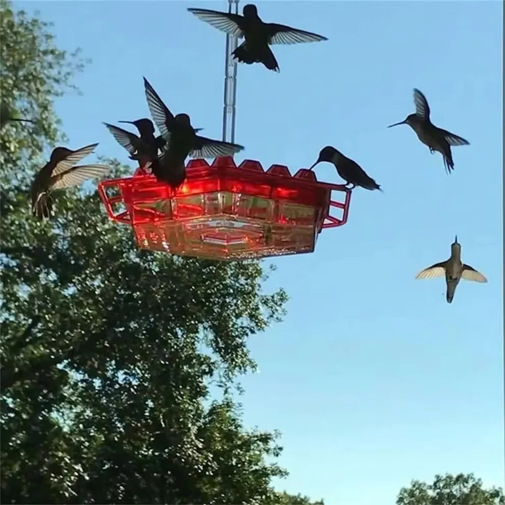 HaulWellGoods - Hummingbird Feeder - Nectar Stays Ant-Free