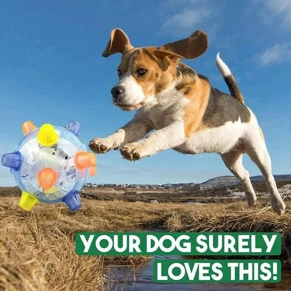 HaulWellGoods - Dog Activation Ball - Hours Of Active Play