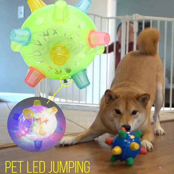 HaulWellGoods - Dog Activation Ball - Hours Of Active Play