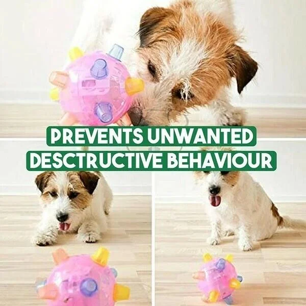 HaulWellGoods - Dog Activation Ball - Hours Of Active Play