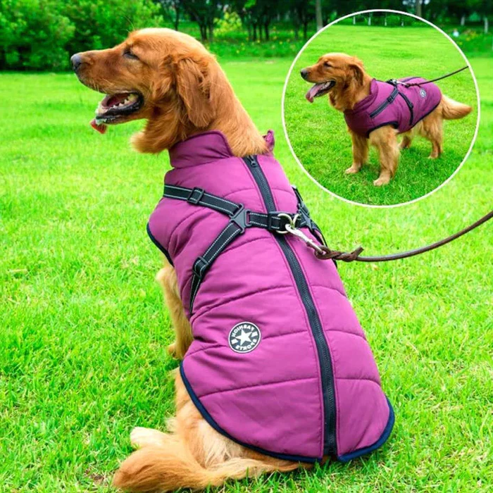 HaulWellGoods - Winter Dog Jacket - Warm Dry Walks