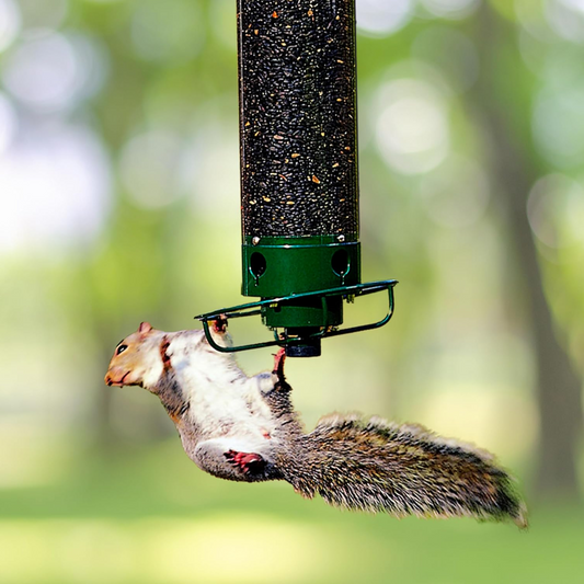 HaulWellGoods - Bird Feeder - Squirrel-Proof Design