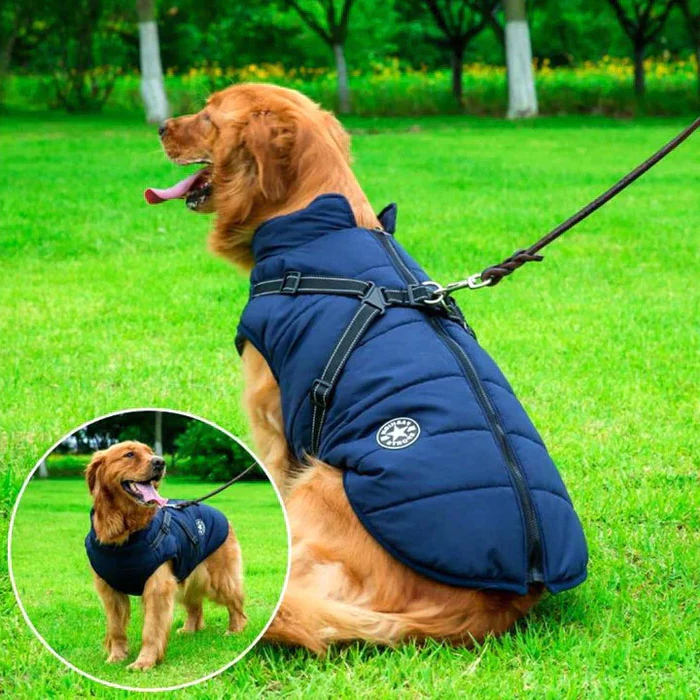 HaulWellGoods - Winter Dog Jacket - Warm Dry Walks