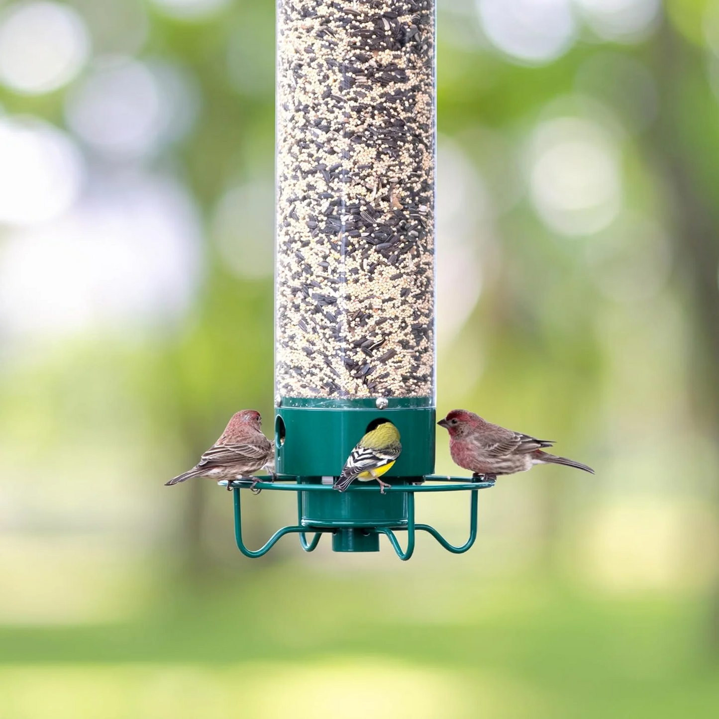 HaulWellGoods - Bird Feeder - Squirrel-Proof Design